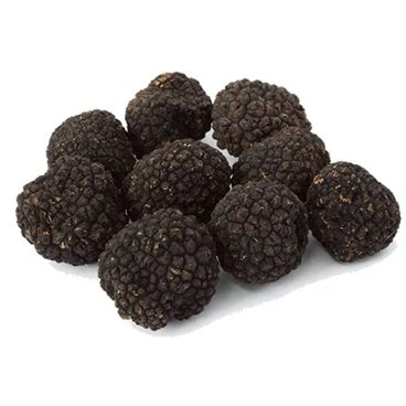 Fresh Burgundy Truffles with Wooden Truffle Slicer (Tuber Uncinatum) - Image 3