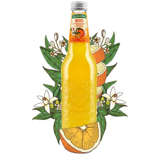 GALVANINA Organic Orange Soda - 355ml (12fl. oz)
