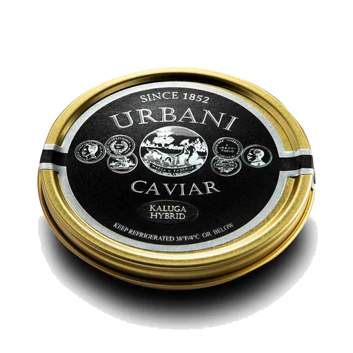 Kaluga Hybrid Caviar - Image 2