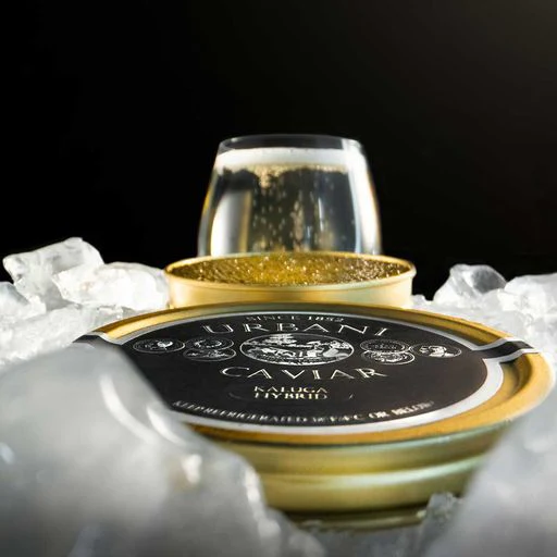 Kaluga Hybrid Caviar - Image 3